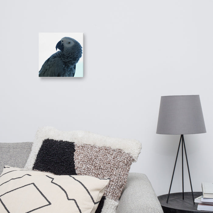 Parrot on Canvas