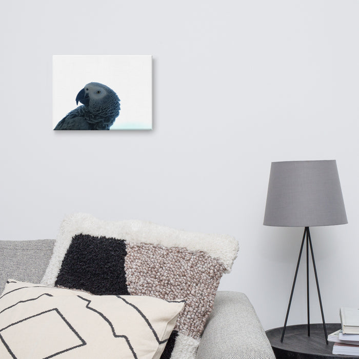 Parrot on Canvas