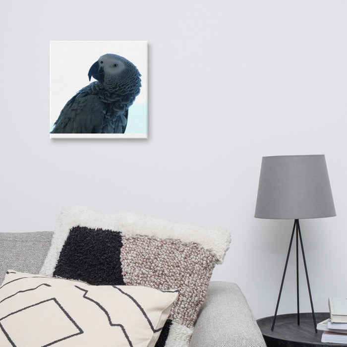 Parrot on Canvas