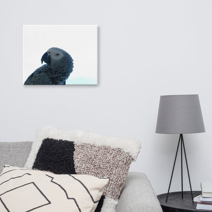 Parrot on Canvas