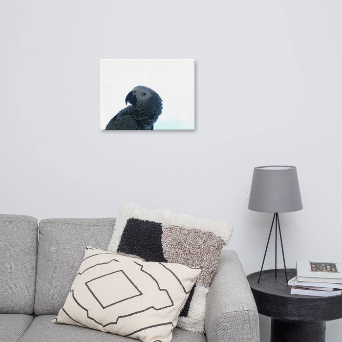 Parrot on Canvas