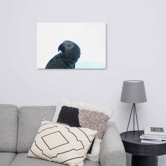 Parrot on Canvas